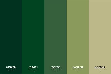 35 Best Green Color Palettes With Names And Hex Codes 2023