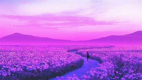 Lavender Fields Wallpaper