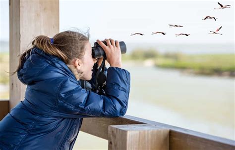 Bird Watching In London The Best Places To Go The London Mother
