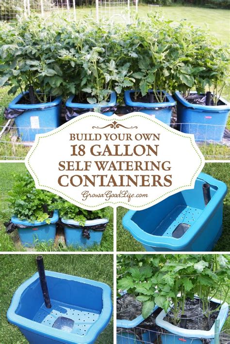 Build Your Own Self Watering Containers Self Watering