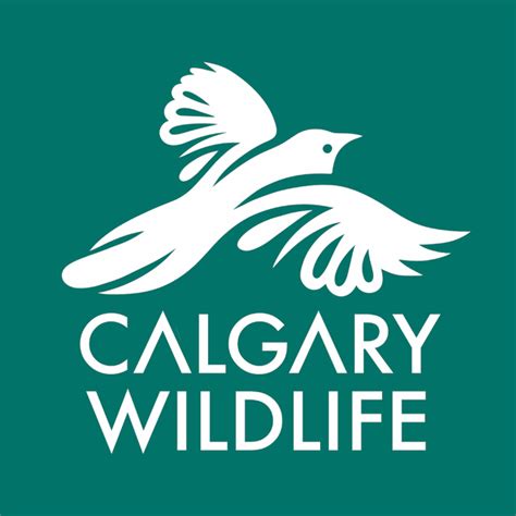 Calgary Wildlife Rehabilitation Society Calgary Ab