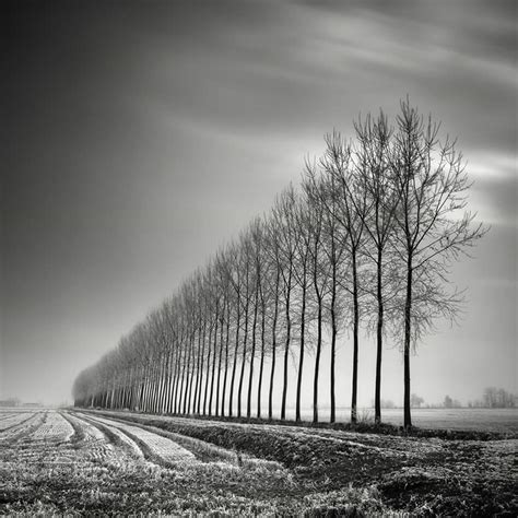 Black And White Autumn Photography