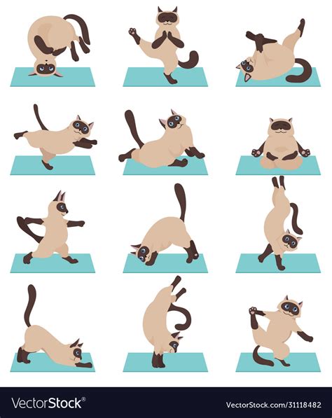 Cats Yoga Siamese Different Yoga Poses Royalty Free Vector