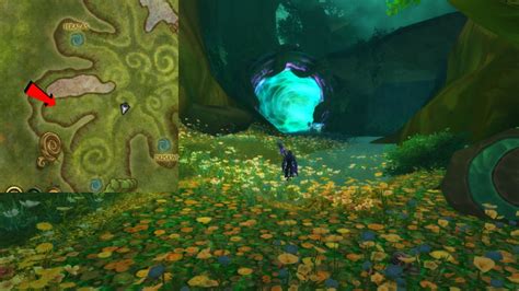 There Is An Empty Portal In The Emerald Dreamway For Druids Hopefully