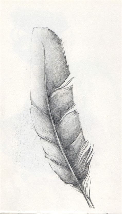 Feather Sketch By Janunnoart On Deviantart