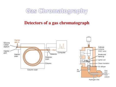 Ppt Detectors Of A Gas Chromatograph Powerpoint Presentation Free