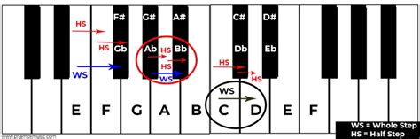 Half Steps And Whole Steps Explained Phamox Music