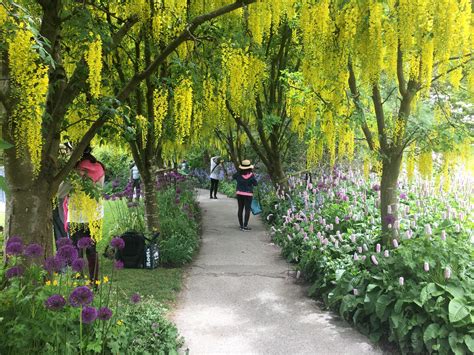 Vancouver Botanical Gardens Alternatives To Butchart Bcrobyn