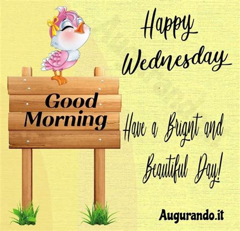 Best Good Morning Wednesday Images Good Morning Wednesday Wednesday