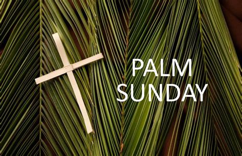 Palm Sunday Online Worship 04 05 2020 Connect United Methodist Church