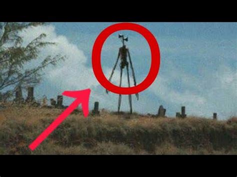 14 727 637 просмотров 14 млн просмотров. TOP 5 SIREN HEAD CAUGHT ON CAMERA AND SPOTTED IN REAL LIFE ...