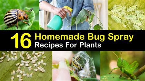 16 Do It Yourself Bug Spray Recipes For Plants