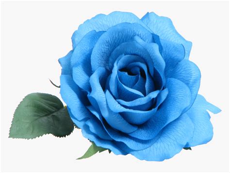 Blue Rose Clip Art Transparent Blue Flower Png Png Download
