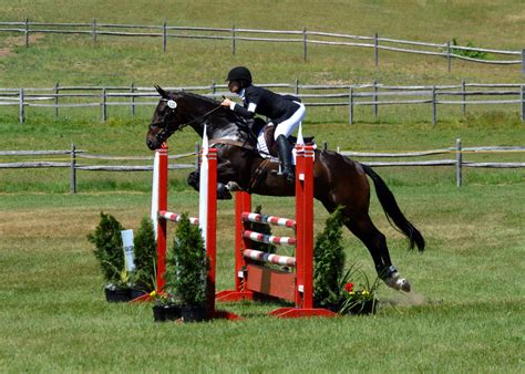 Whats In Your Ring Presented By Attwood Jumping Indoors With Babette