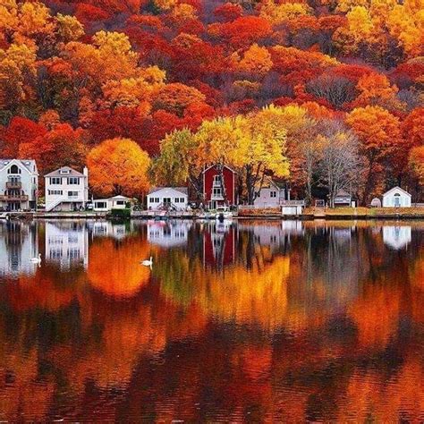 Pin By Ana Rebeca Sanchez On Reflections Autumn Landscape Nature