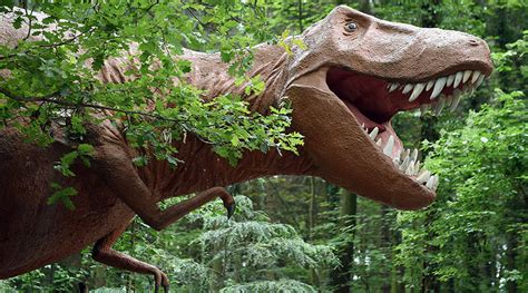 T Sex Dinosaur Foreplay Uncovered In New Research — Rt Viral