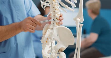 Osteoporoza Jej Przyczyny Objawy Leczenie I Profilaktyka Apteka My Xxx Hot Girl