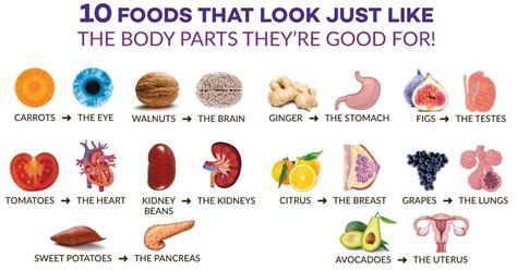 10 Plant Based Foods That Look Just Like The Body Parts Theyre Good For