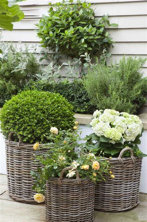 To find the best potted garden plants and flowers, you've come to the right place. Potted Garden Design Ideas & Tips | outdoortheme.com