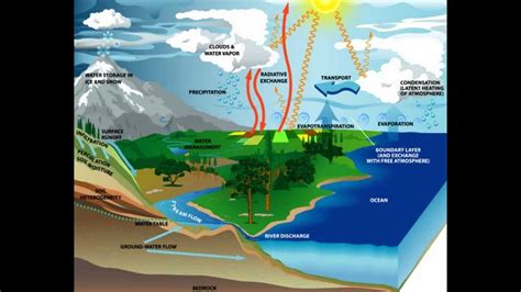 Media Pembelajaran Siklus Air Siklus Hidrologi Menggunakan Animasi My