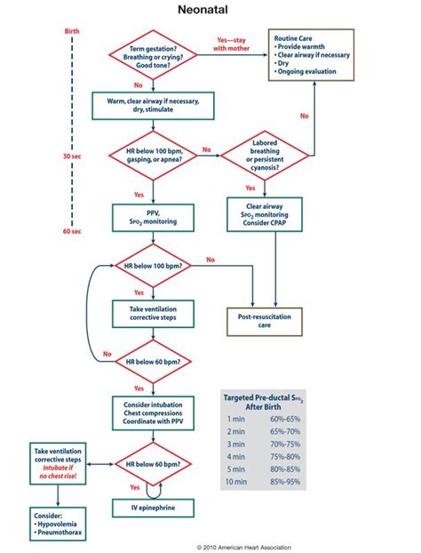 Inrp™ Flow Diagram Flow Chart Pediatric Nursing Midwifery Student