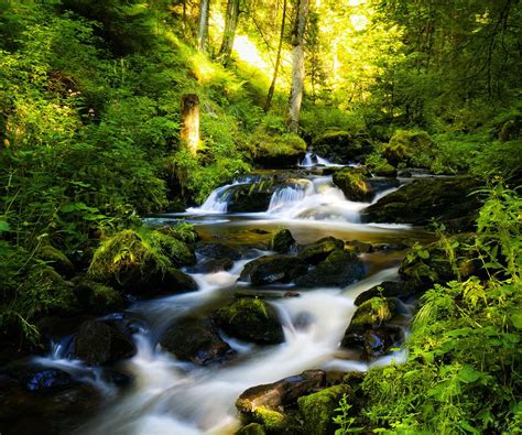Our community of professional photographers have contributed thousands of beautiful images, and all of. 960x800 popular mobile wallpapers free download (30 ...