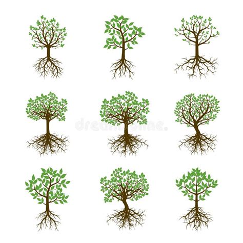 Set Color Trees Vector Illustration Stock Illustration Illustration