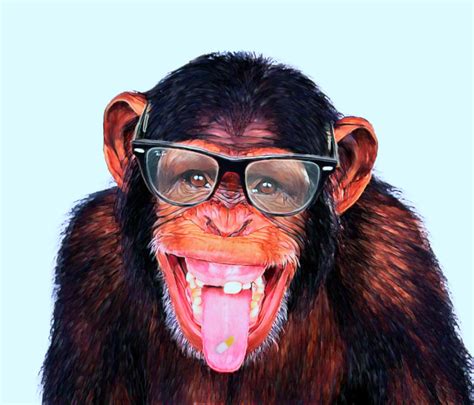 Cool As A Monkey By Akujirocks On Deviantart