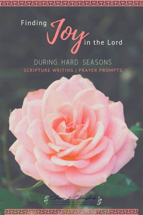 Bible Verses About Joy Prayer Prompts And Scripture Writing For Being Joyful Joy In The Lord
