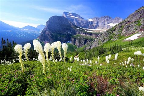 5 Photographers On The Miracles Of Nature In Summer The Shutterstock