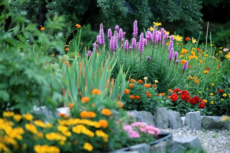 But they're not just useful for cheering up the space around a front door or front porch. Choosing Plants for a Small Garden Space