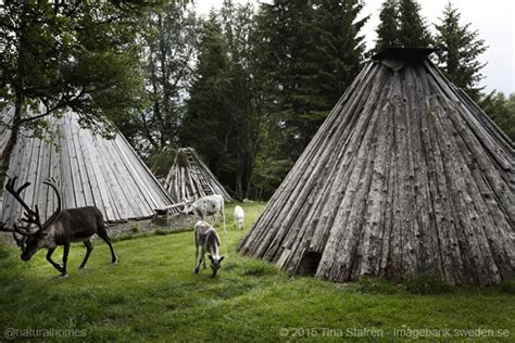 Traditional Sami Homes In Häggsjönäs Jämtland Sweden