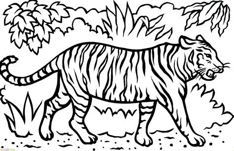 Mewarnai Gambar Zebra Kartun Adzka