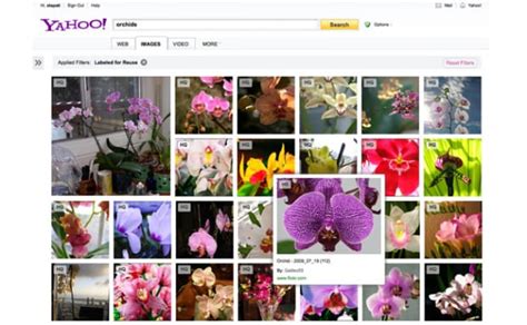 Yahoo Image Search Now Helps You Dig Through All Of Flickr Creative
