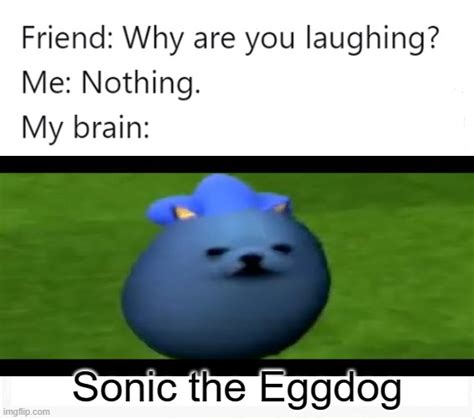 Sonic The Eggdog Gotta Commit Run Speed Imgflip