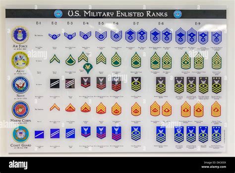 Chart Showing Us Military Enlisted Personnel Rank Information Stock
