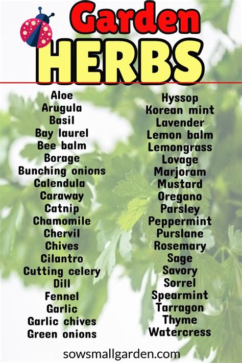 30 What Are The Best Herbs To Grow In Your Garden References Herb