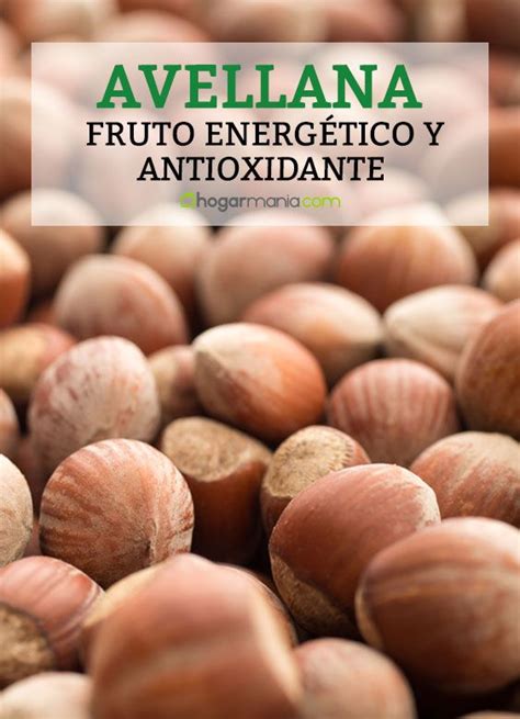 Avellanas fruto energético y antioxidante Hogarmania Frutas y