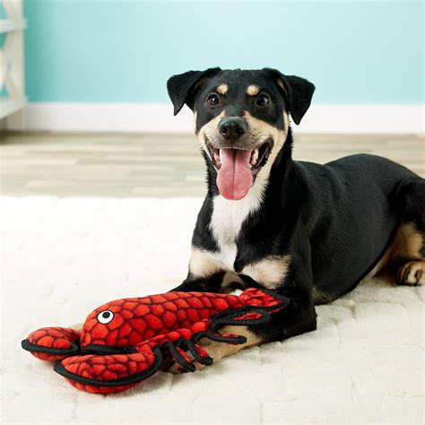 Tuffys Ocean Creatures Larry Lobster Dog Toy