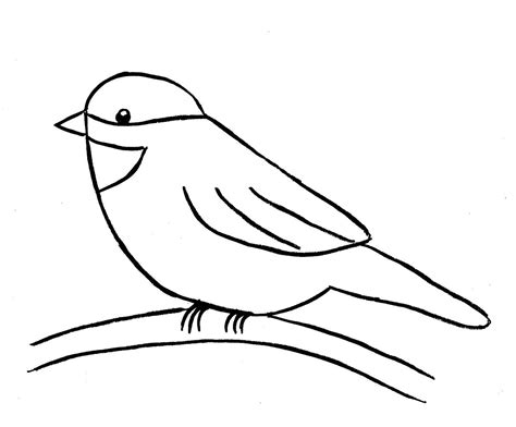 How To Draw A Bird Step By Step Easy With Pictures Dessin à Dessin D