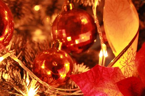Holiday Season Background Free Stock Photo Public Domain Pictures