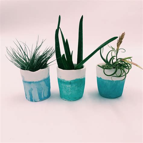 Dip Dyed Pot Plants By Mary Cruise She Has Created These To Sit On The