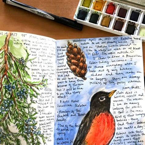 How To Start A Nature Journal Guest Post From Hannah Stevenson