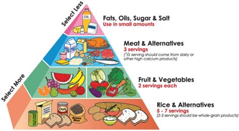 Generally used to educate young children about healthy eating, food pyramids are usually bright in colour and illustrative, as the picture above. What Is A Balanced Diet For Adults - Karen Guillory