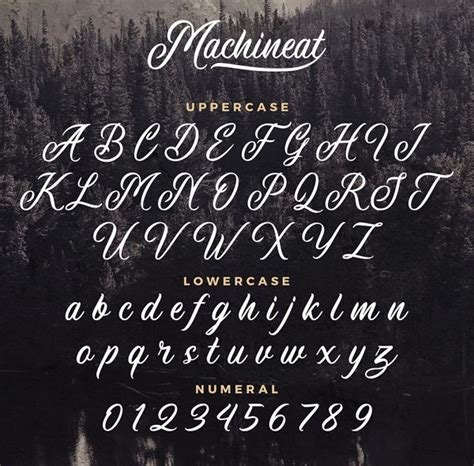 Machineat Handpainted Font Fancy Writing Styles Vintage Script Fonts