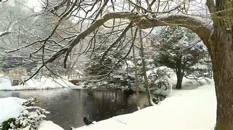 Snowy Winter Pond Youtube