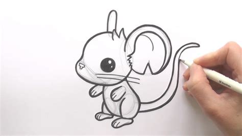 How To Draw A Mouse Step By Step Guide