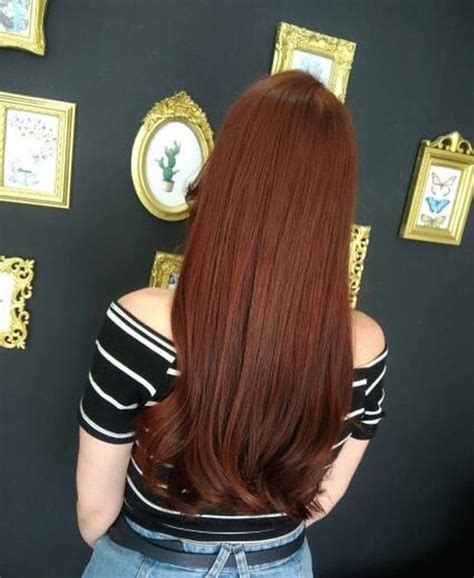 Ginger Hair Color Copper Hair Color Hair Color And Cut Brunette Hair
