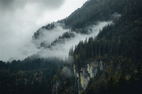 Wallpaper Id 202572 Misty Fog Rolling Down The Mountain Slope Of A