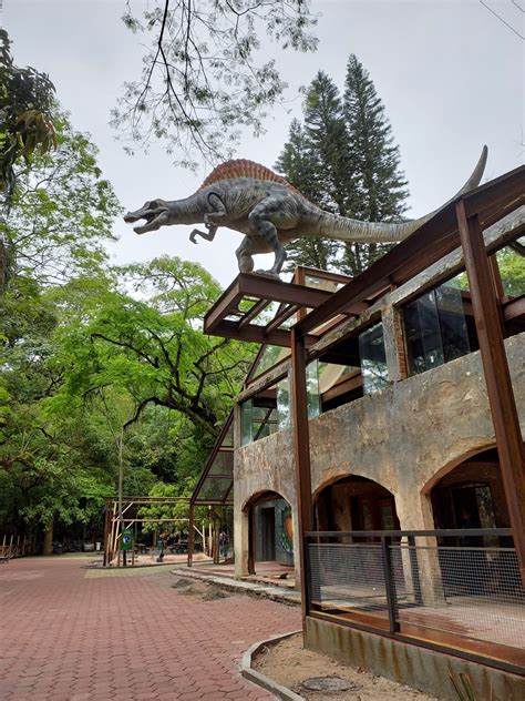 Actualizar Imagem Novo Parque Dos Dinossauros Br Thptnganamst Edu Vn